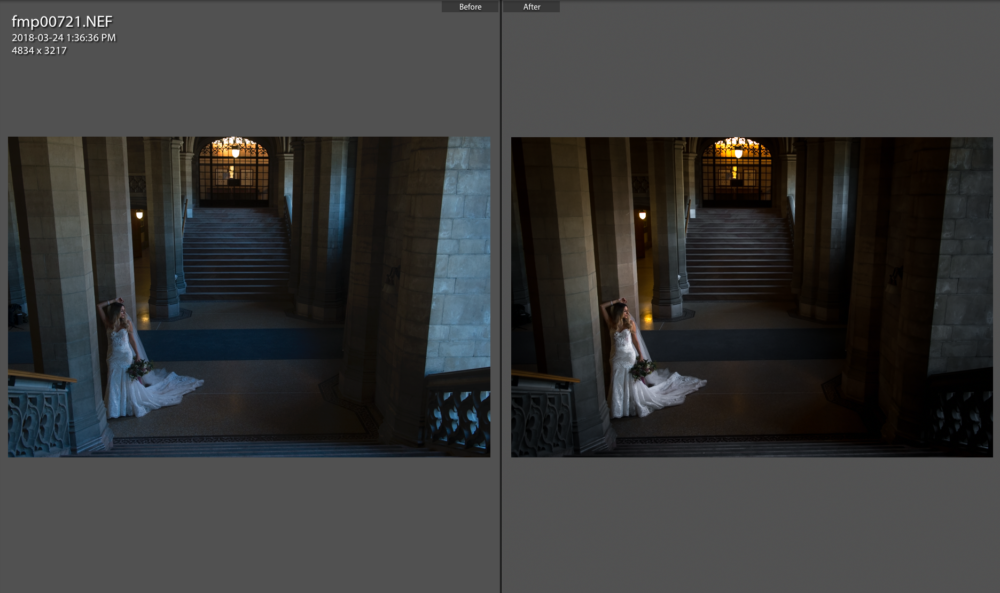 Knox College Journalistic Wedding Photographer