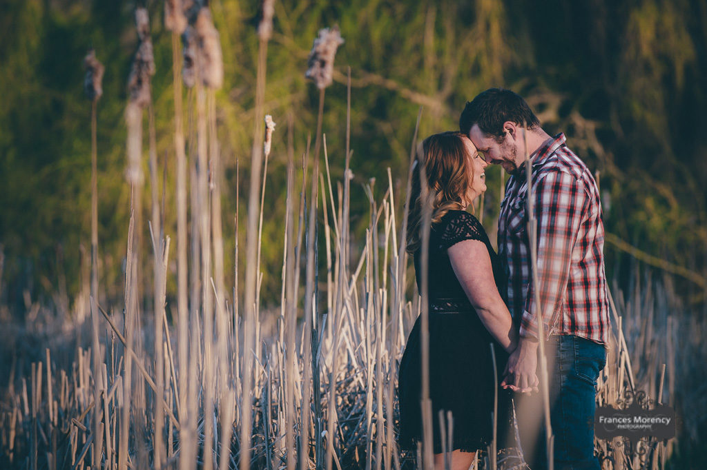Sunset engagement photography tottenham-country-engagement-7817