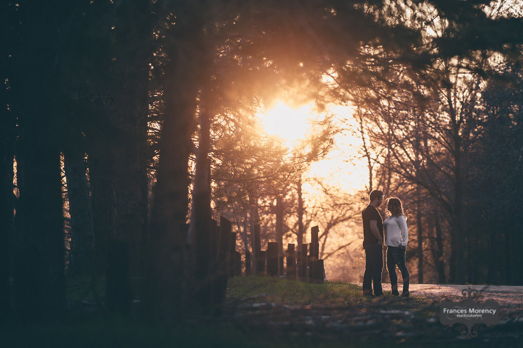 Sunset engagement photography in Caledon tottenham-country-engagement-8341