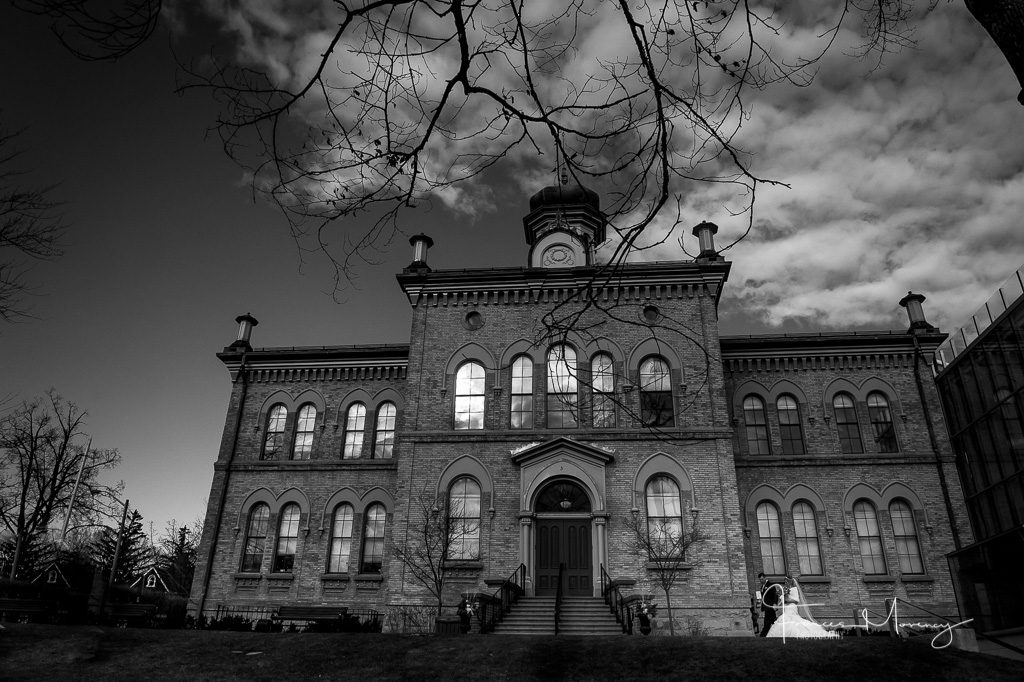 PAMA Art Gallery Toronto Wedding Photographer PAMA Art Gallery Toronto Wedding Photographer