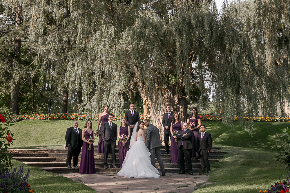 wedding party under willow tree