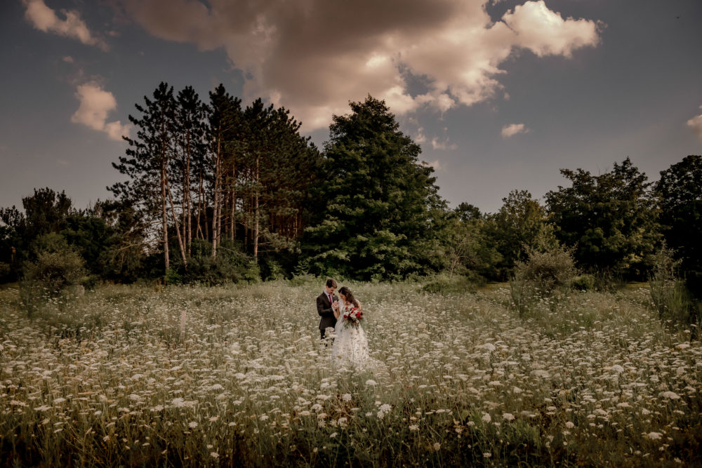 wedding portrait in field at kortright