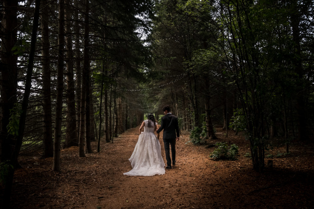 bride groom walking in woods