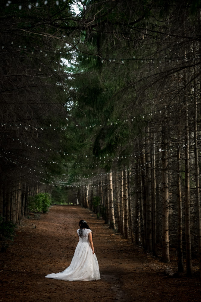 kortright alley with twinkle lights