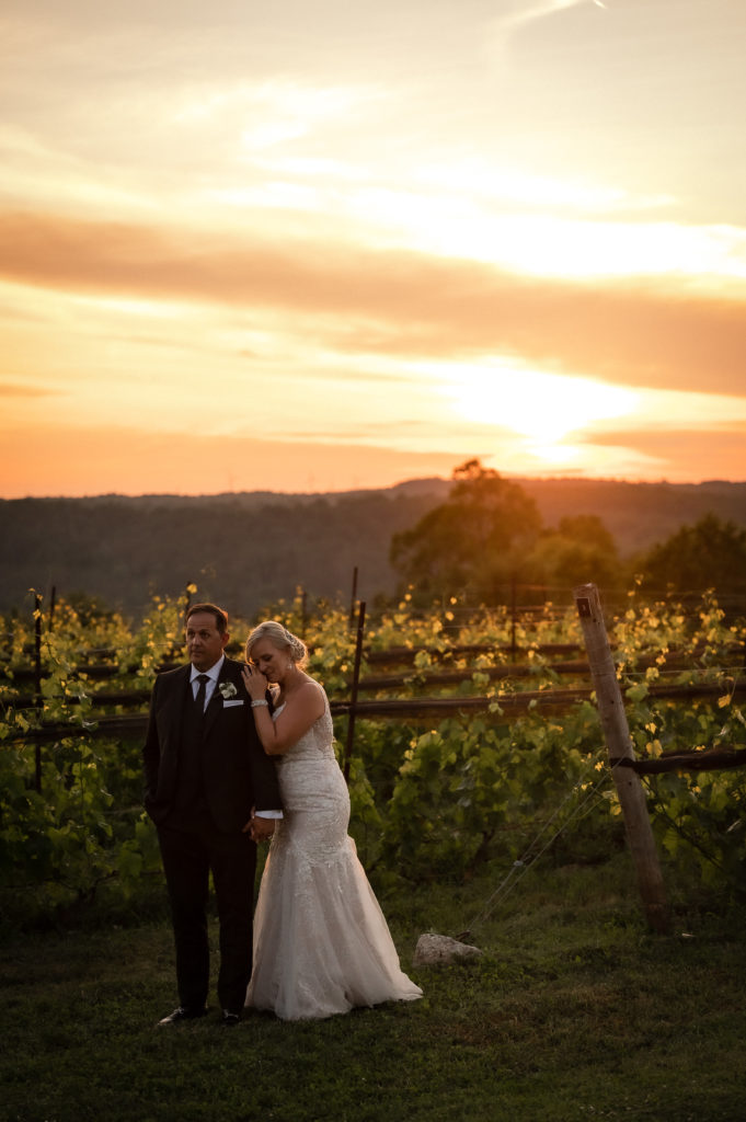sunset photos at adamo estate winery