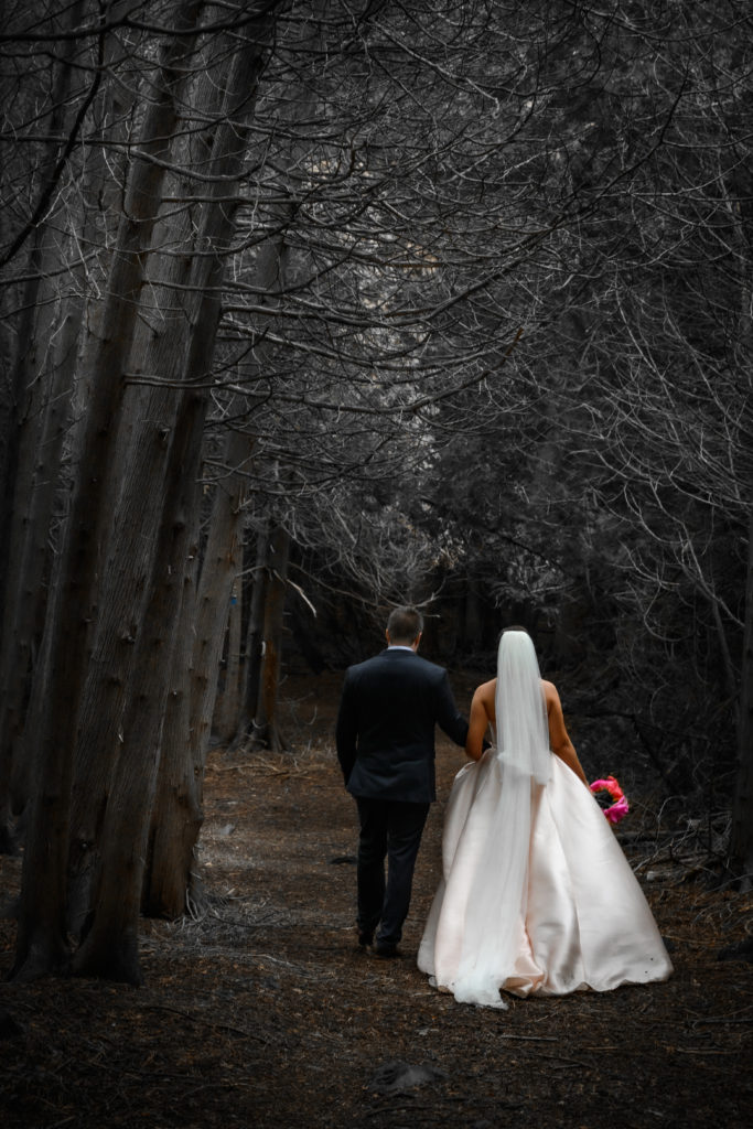 bridal portraits in the woods
